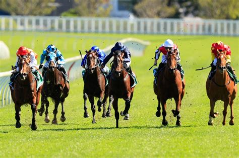 Randwick Racing Tips, Best Bets & Odds .